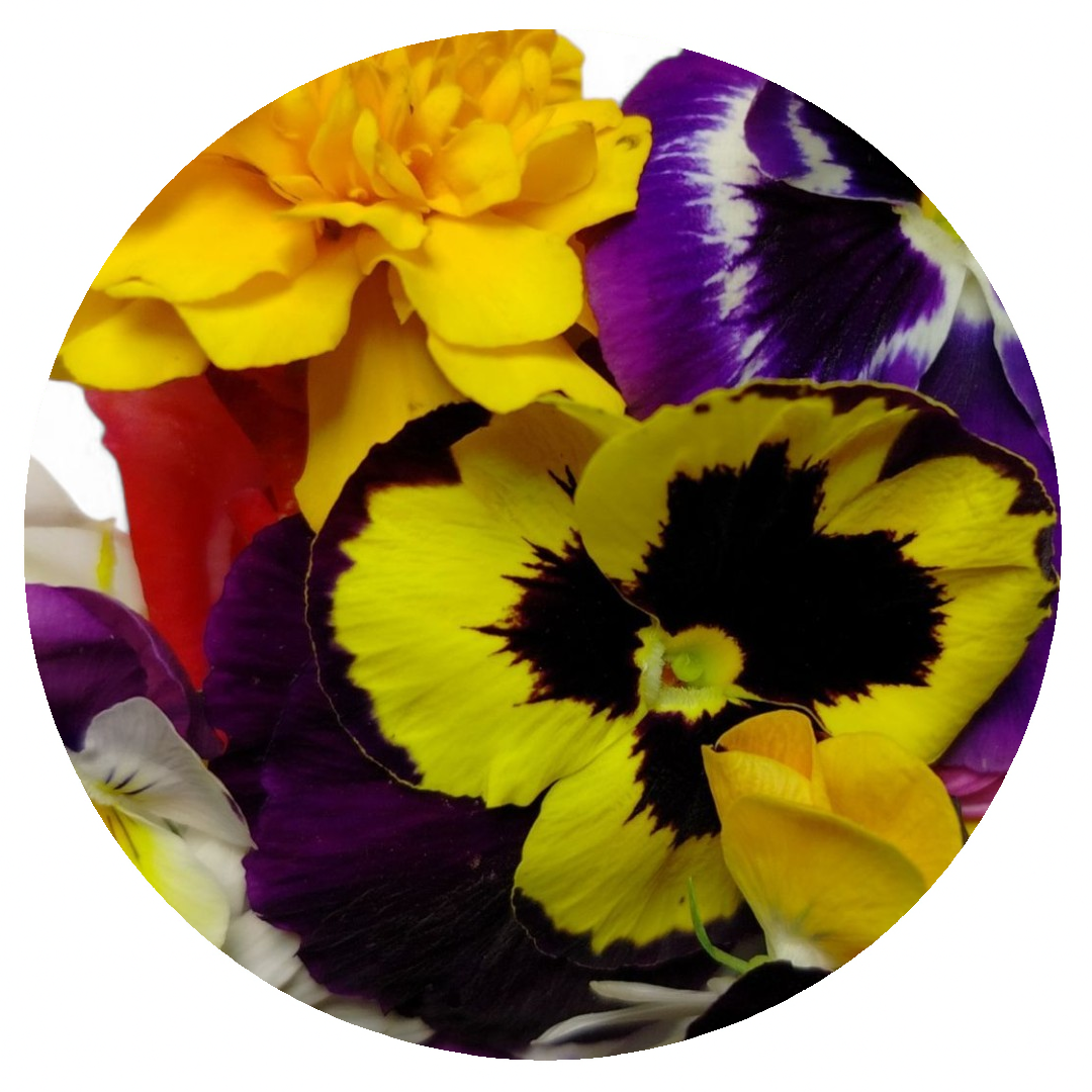 Petali di Fiori Edibili