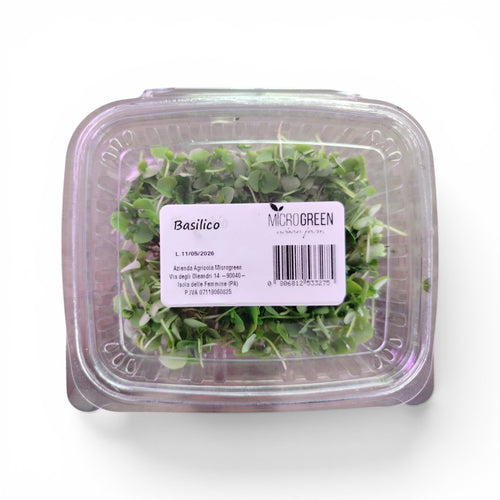 Basilico Germoglio Edibile