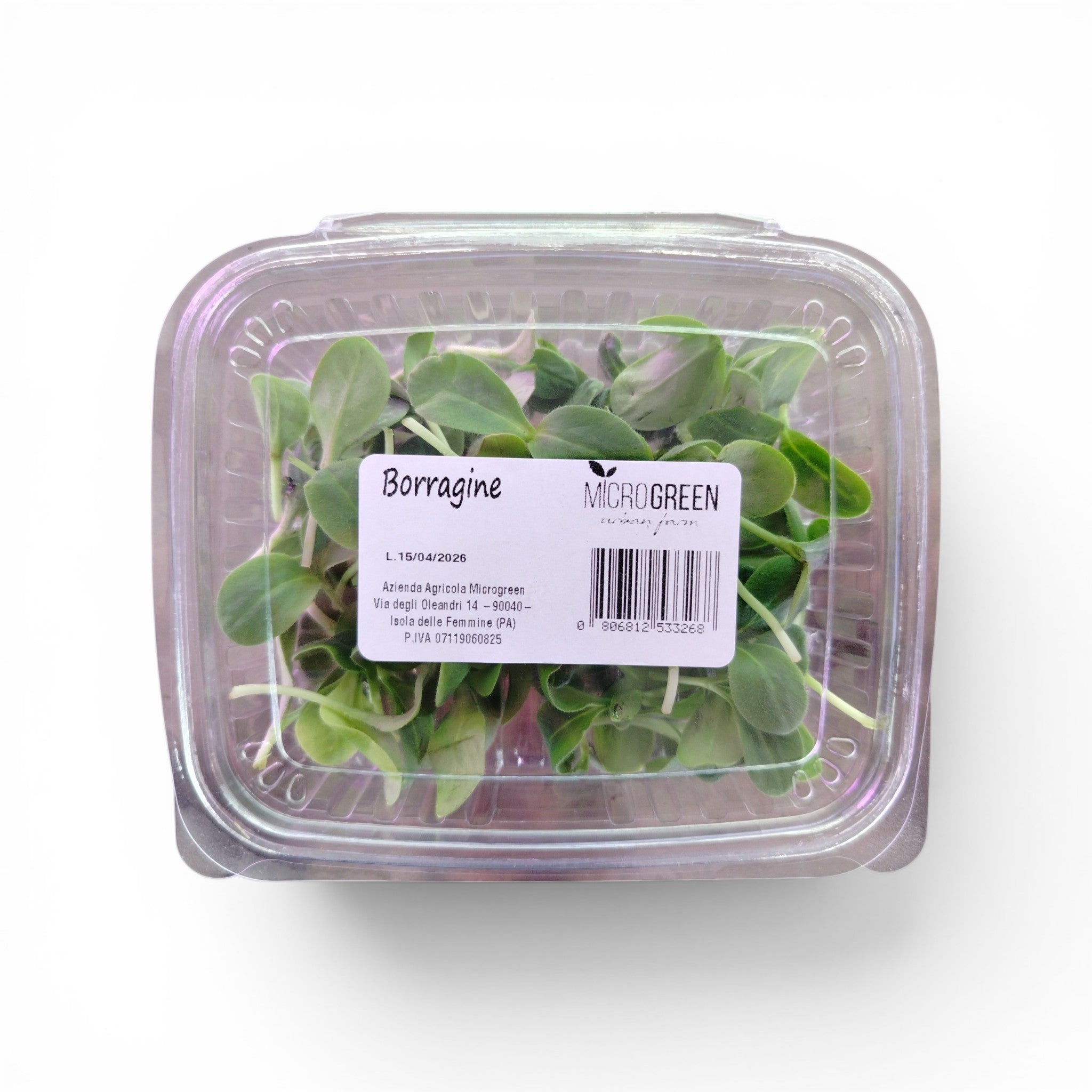 Borragine Germoglio Edibile