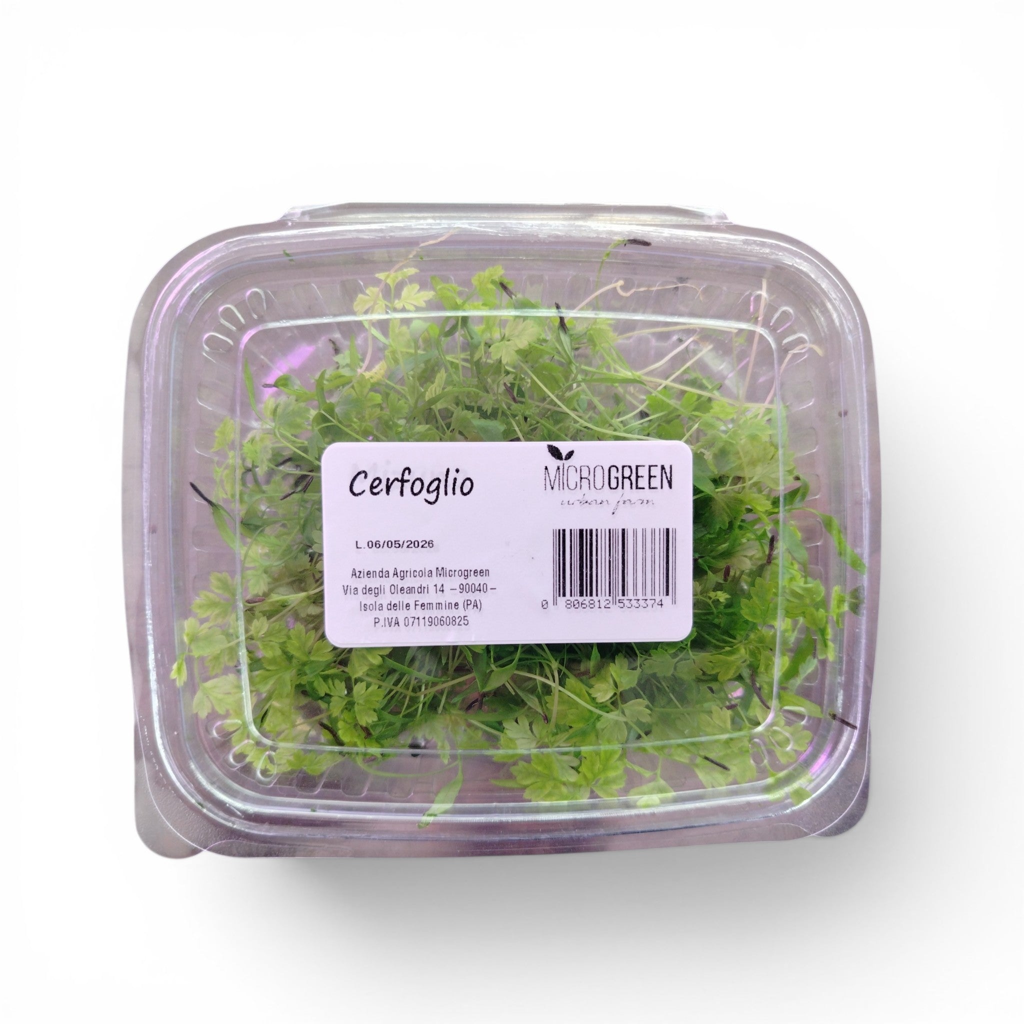 Cerfoglio Germoglio Edibile
