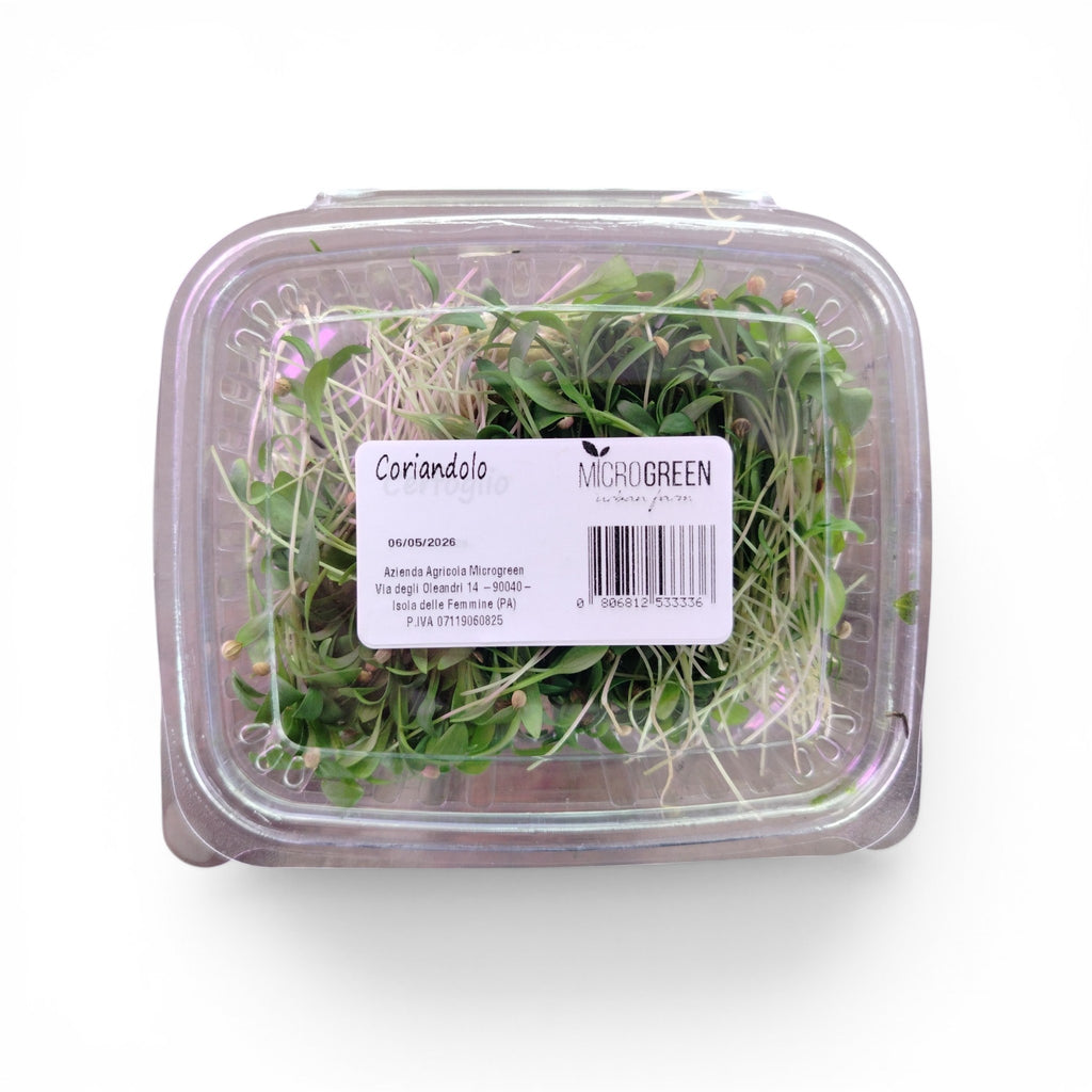 Coriandolo Germoglio Edibile