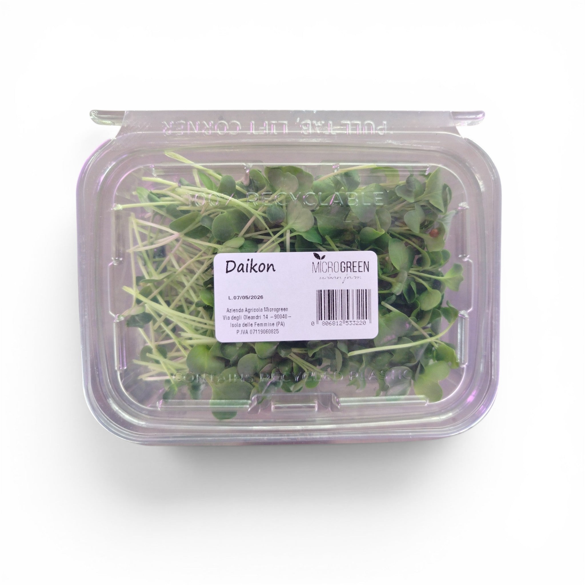 Daikon Germoglio Edibile