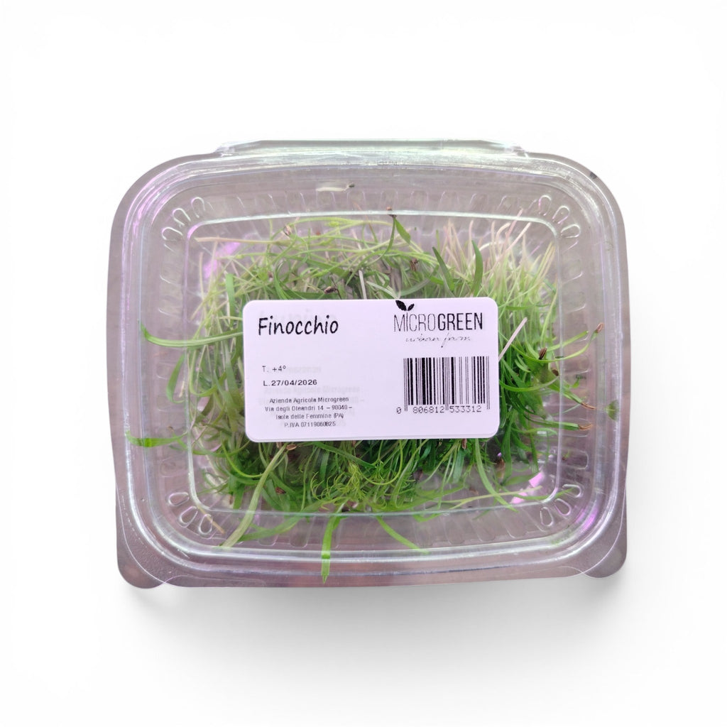 Finocchio Germoglio Edibile