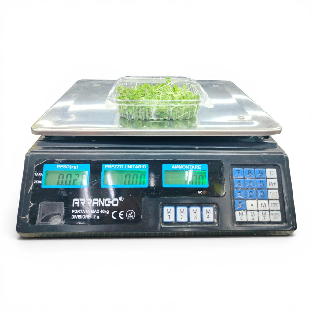 Microgreen Tagliato Origano - Germoglio Edibile