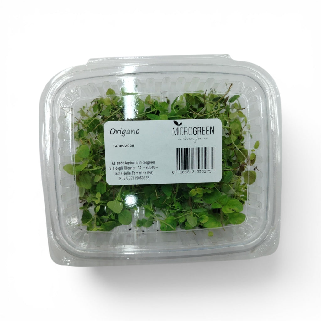 Microgreen Tagliato Origano - Germoglio Edibile