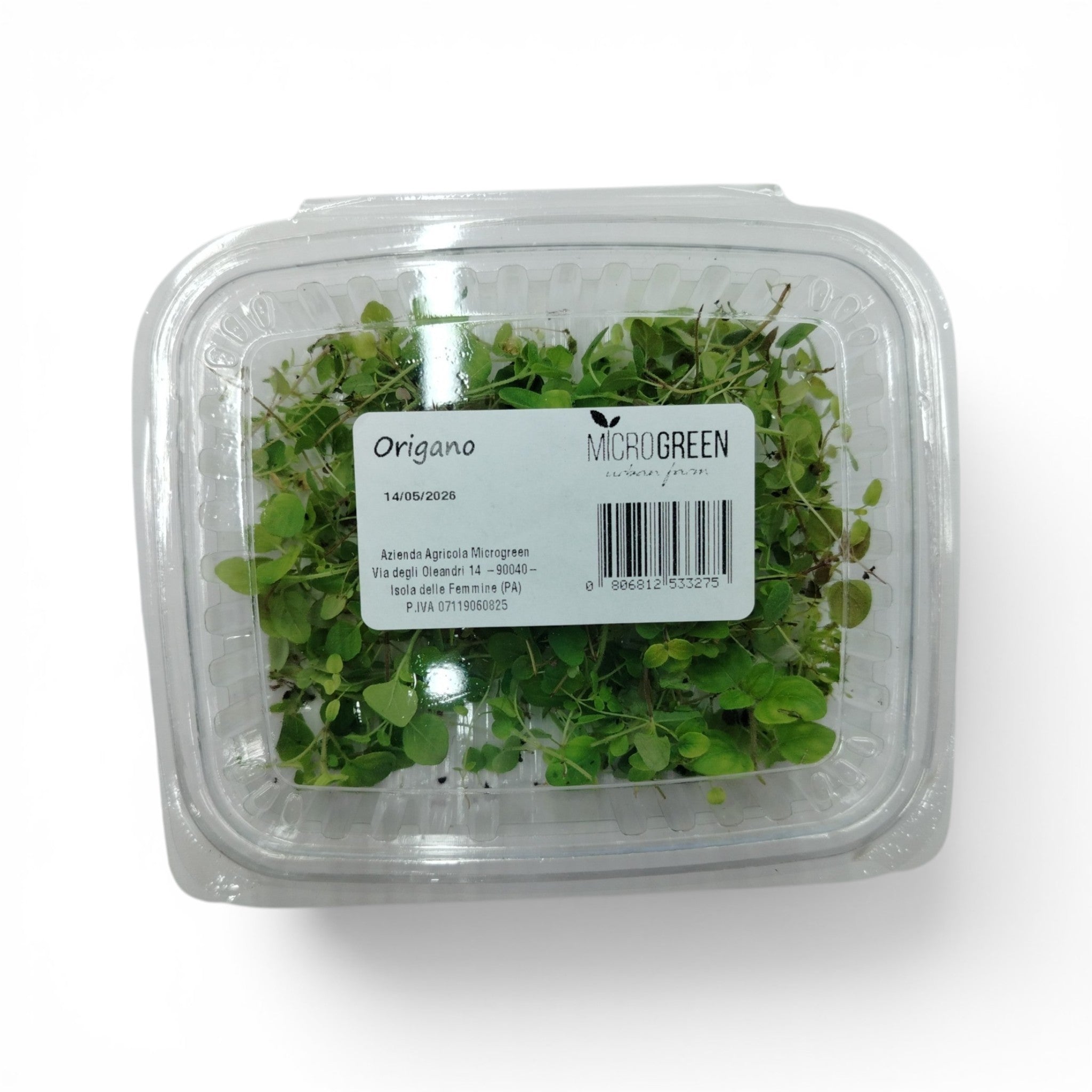 Microgreen Tagliato Origano - Germoglio Edibile