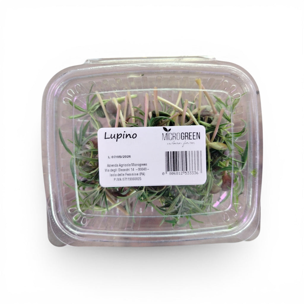 Lupini Germogli Edibili