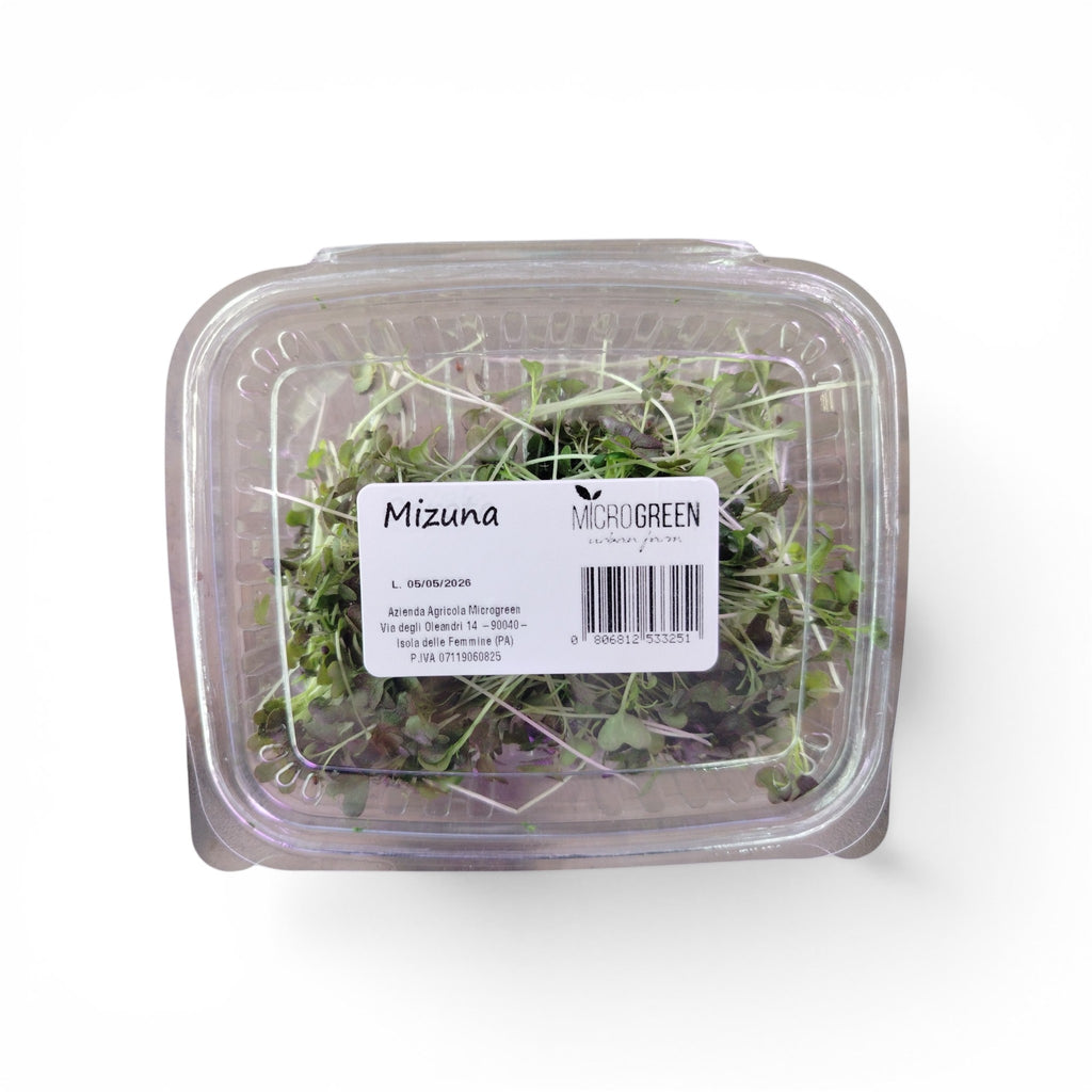 Mizuna Germoglio Edibile