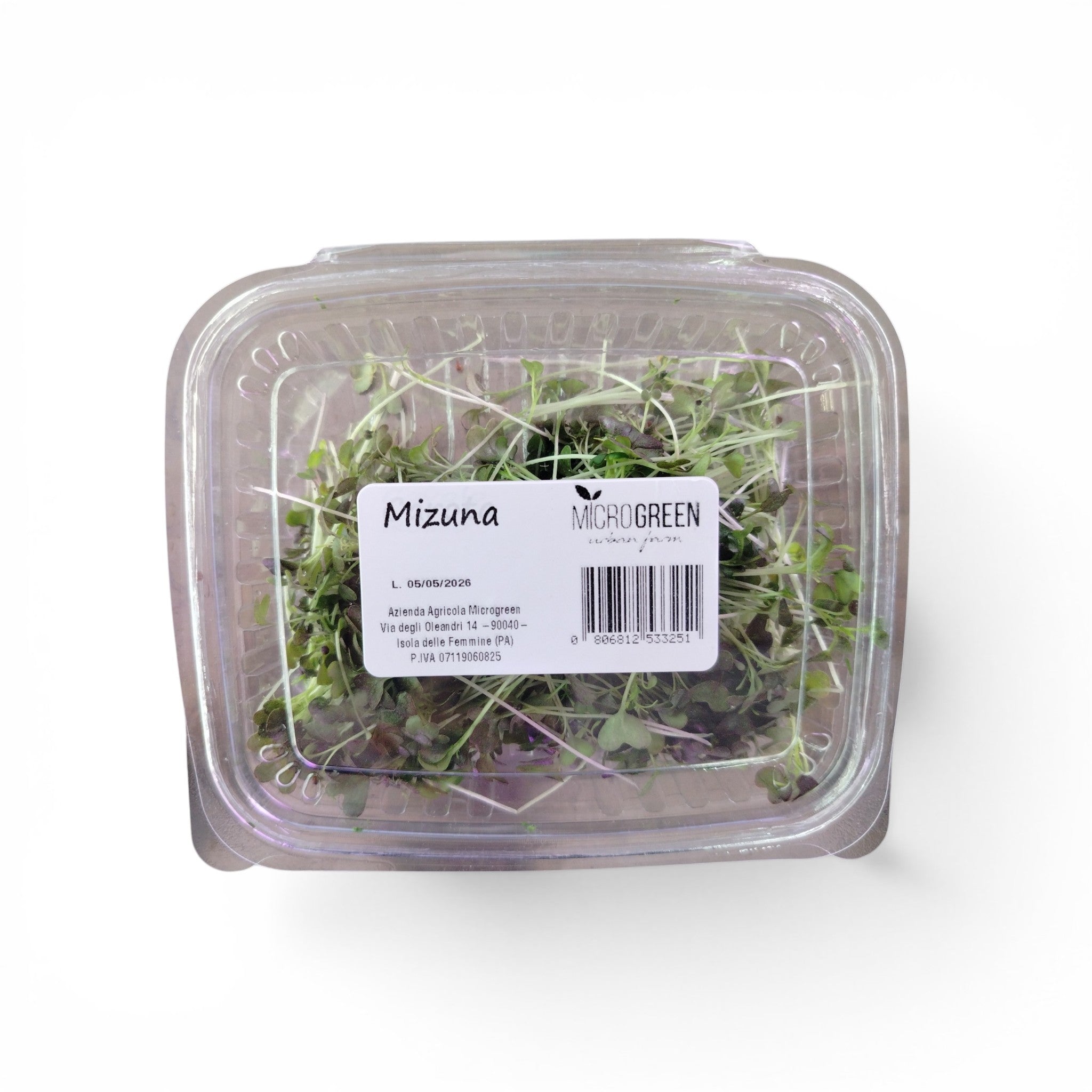 Mizuna Germoglio Edibile