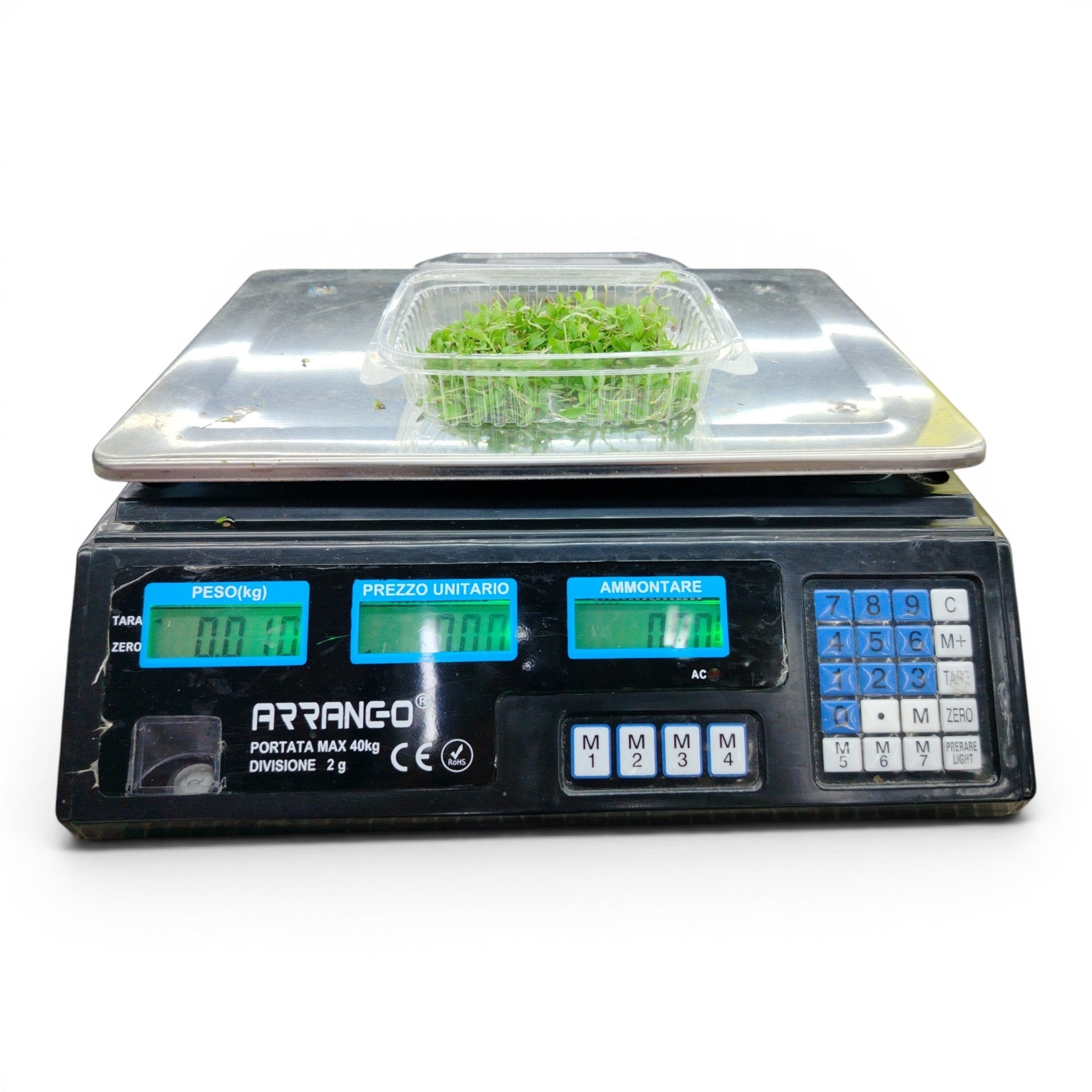 Prezzemolo Germoglio Edibile microgreen
