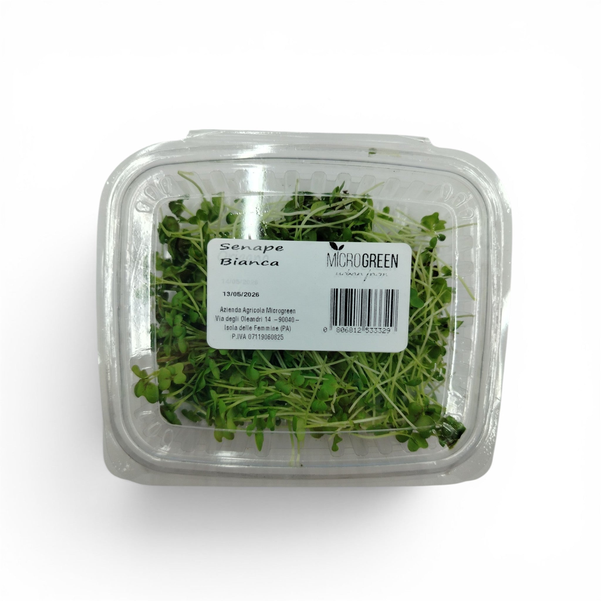Senape Bianca Germoglio Edibile Microgreen