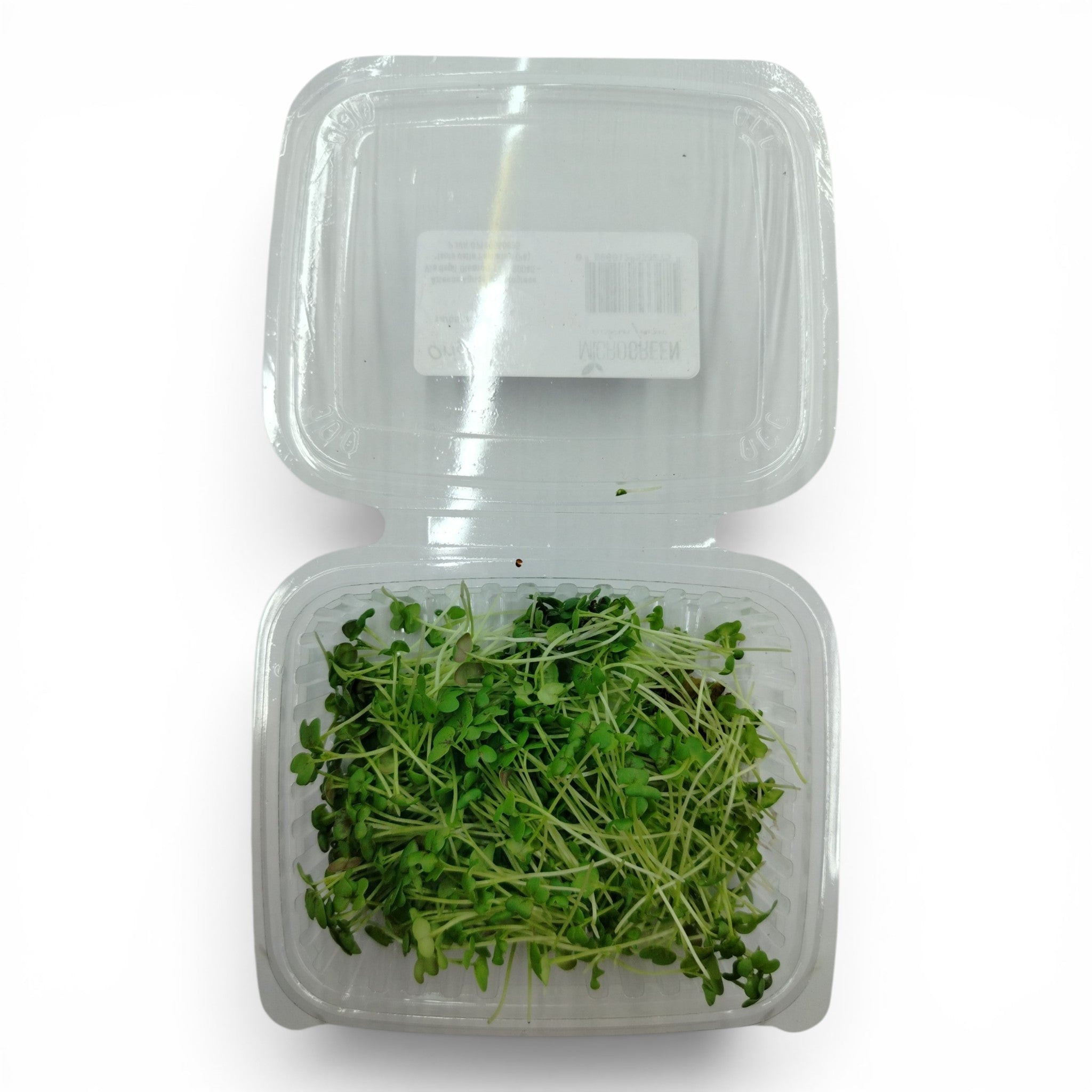 Senape Bianca Germoglio Edibile Microgreen