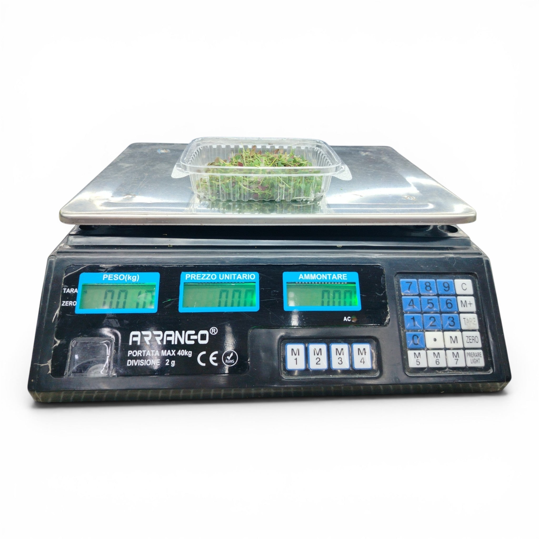 Senape Bianca Germoglio Edibile Microgreen