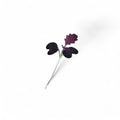 Senape Rossa Microgreen Edibile e