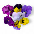 Violetta Fiore Edibile