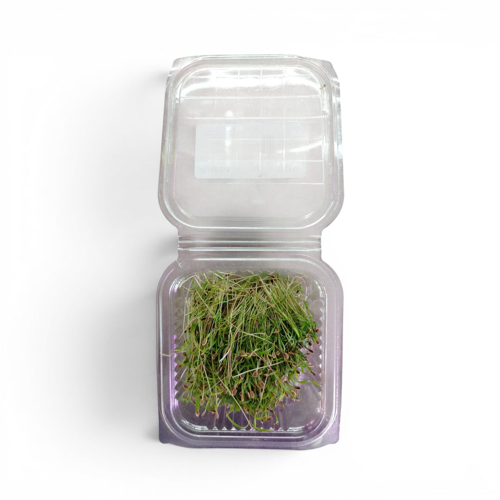 Microgreen Tagliato Aneto - Germoglio Edibile