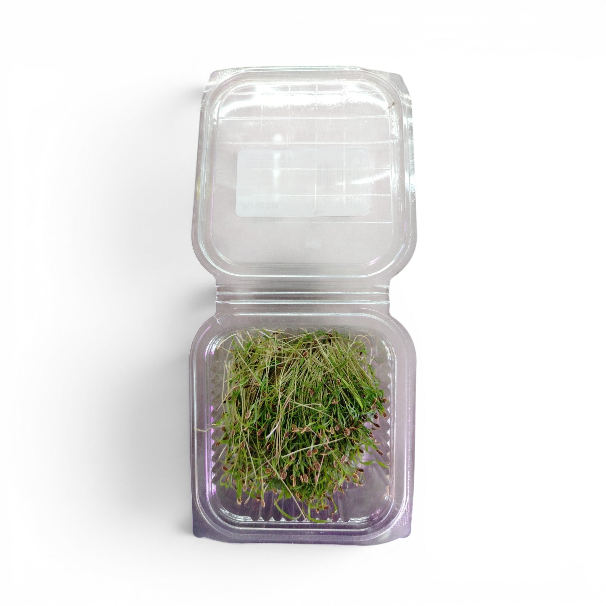 Microgreen Tagliato Aneto - Germoglio Edibile