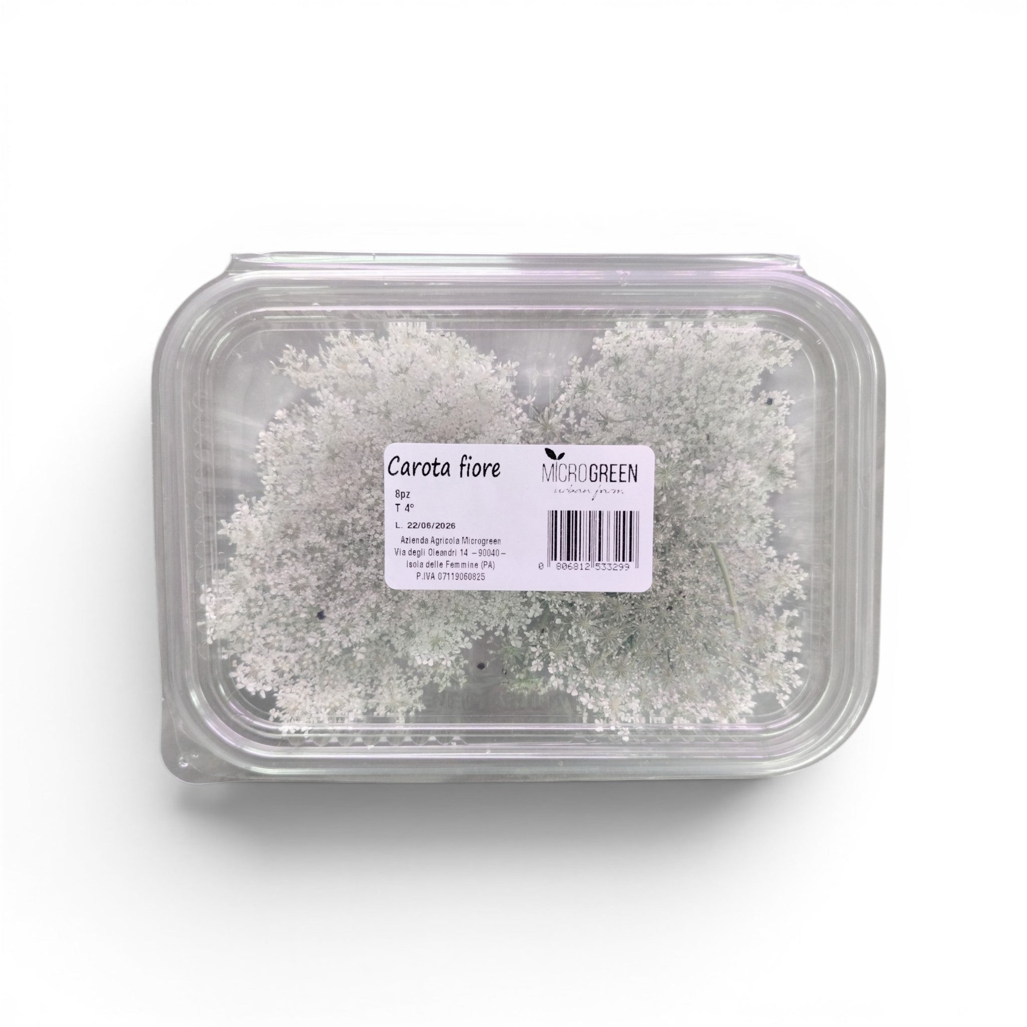 carota_fiore_microgreen_commestibile_1