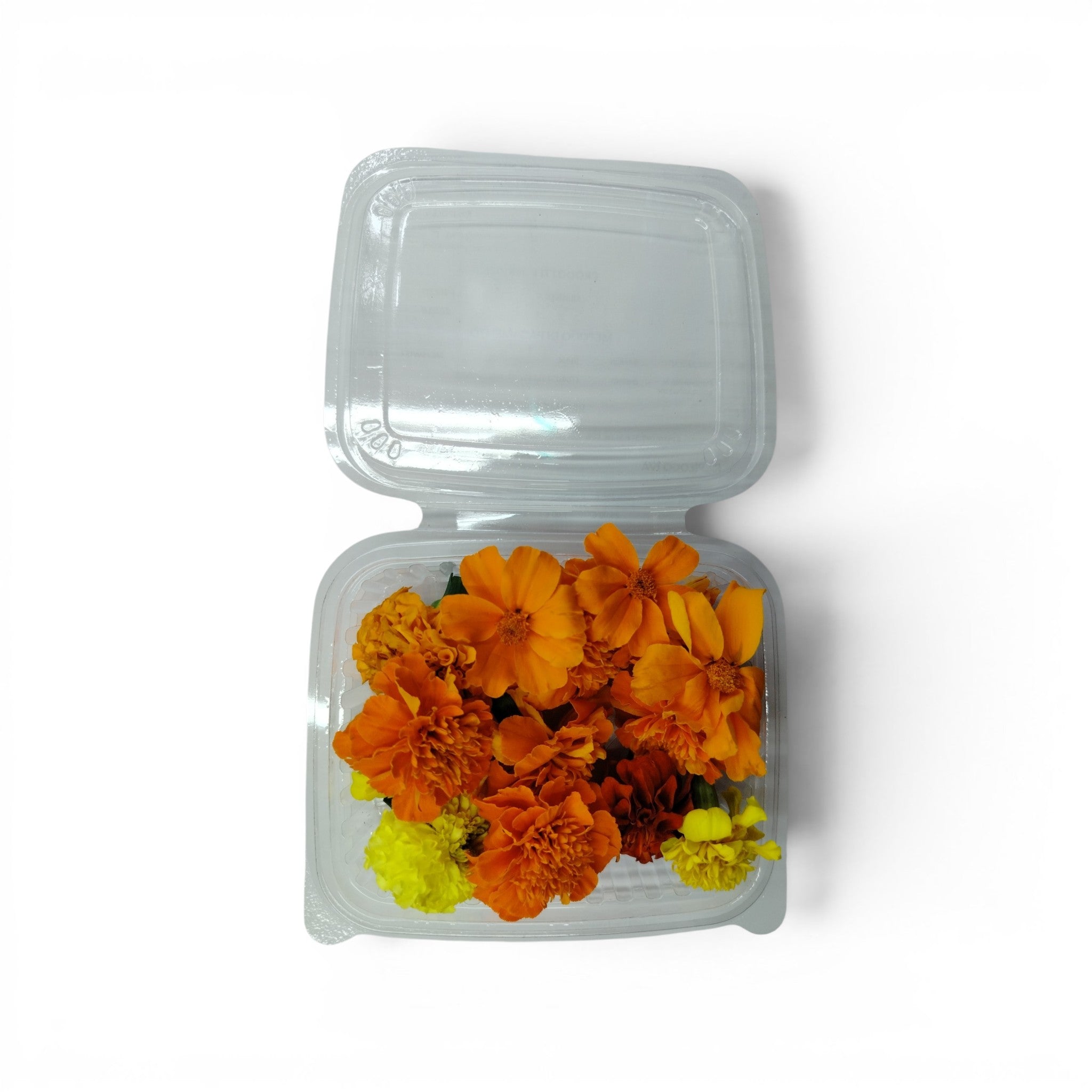 fiore_tagete_microgreen_eduli_petali_commestibili_eduli_edibili_2