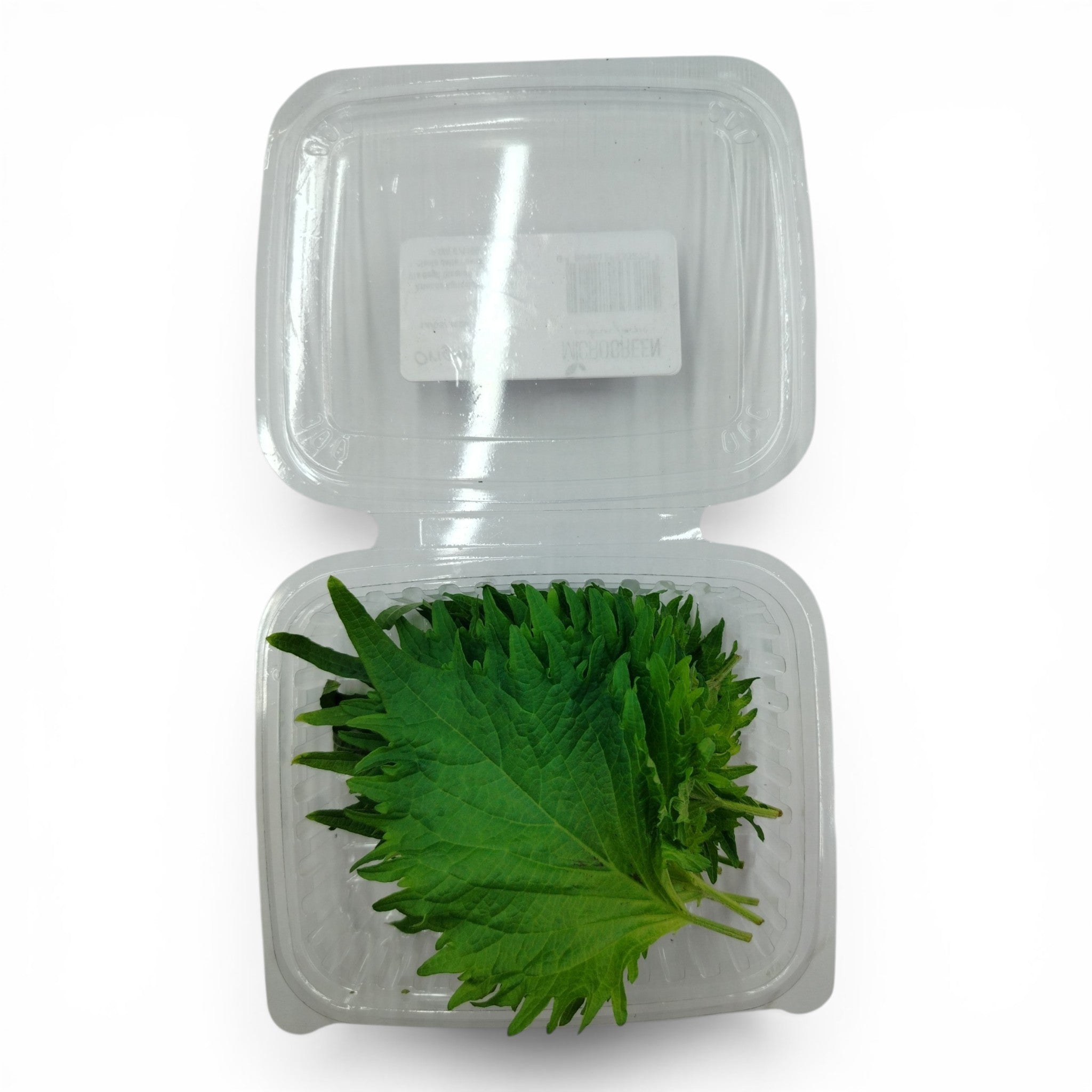 Foglia di Shiso Edibile 