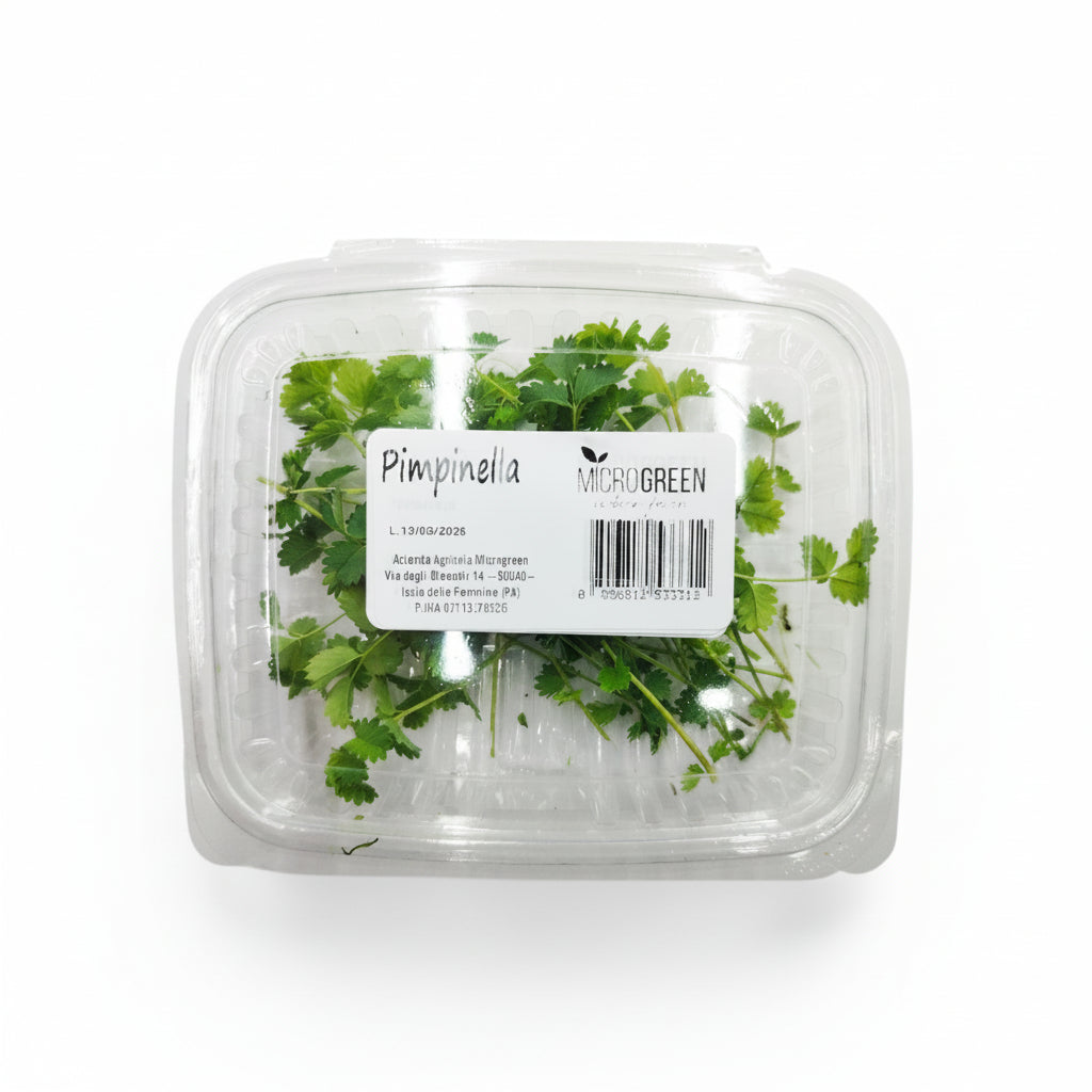 Foglie di Pimpinella Edibili