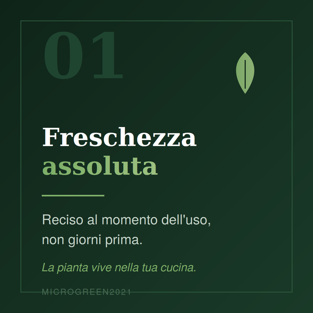 Componi il tuo Box da 8 Vaschette