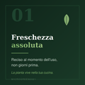Componi il tuo Box da 8 Vaschette