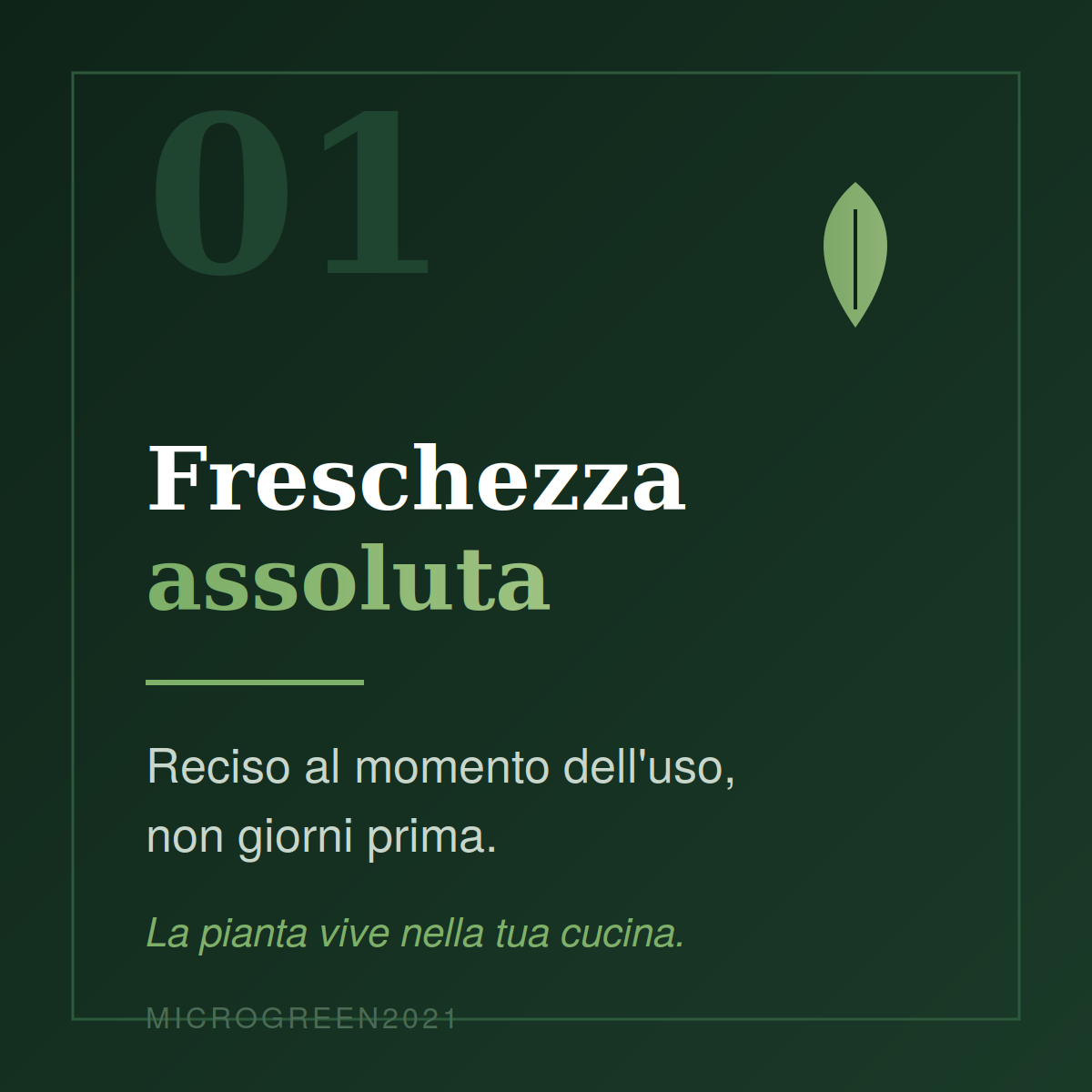 Componi il tuo Box da 8 Vaschette