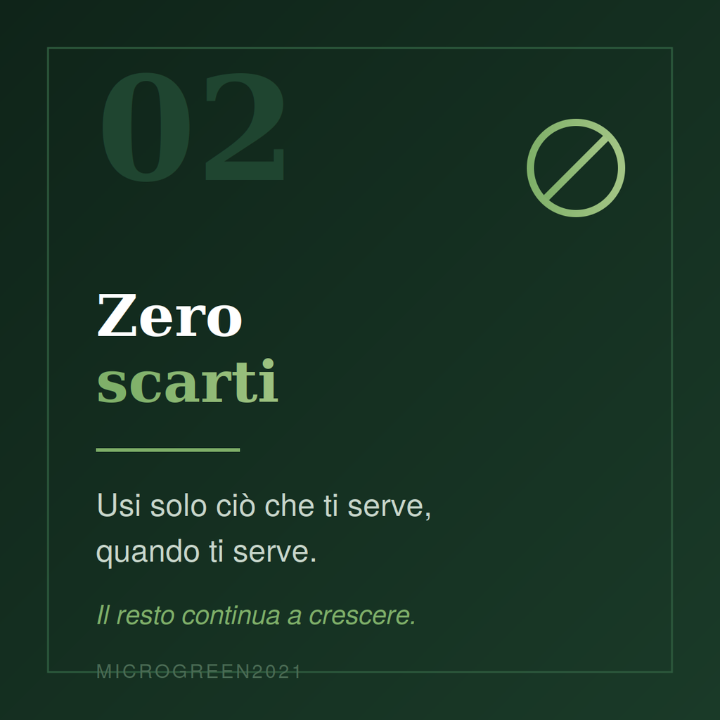 Componi il tuo Box da 8 Vaschette