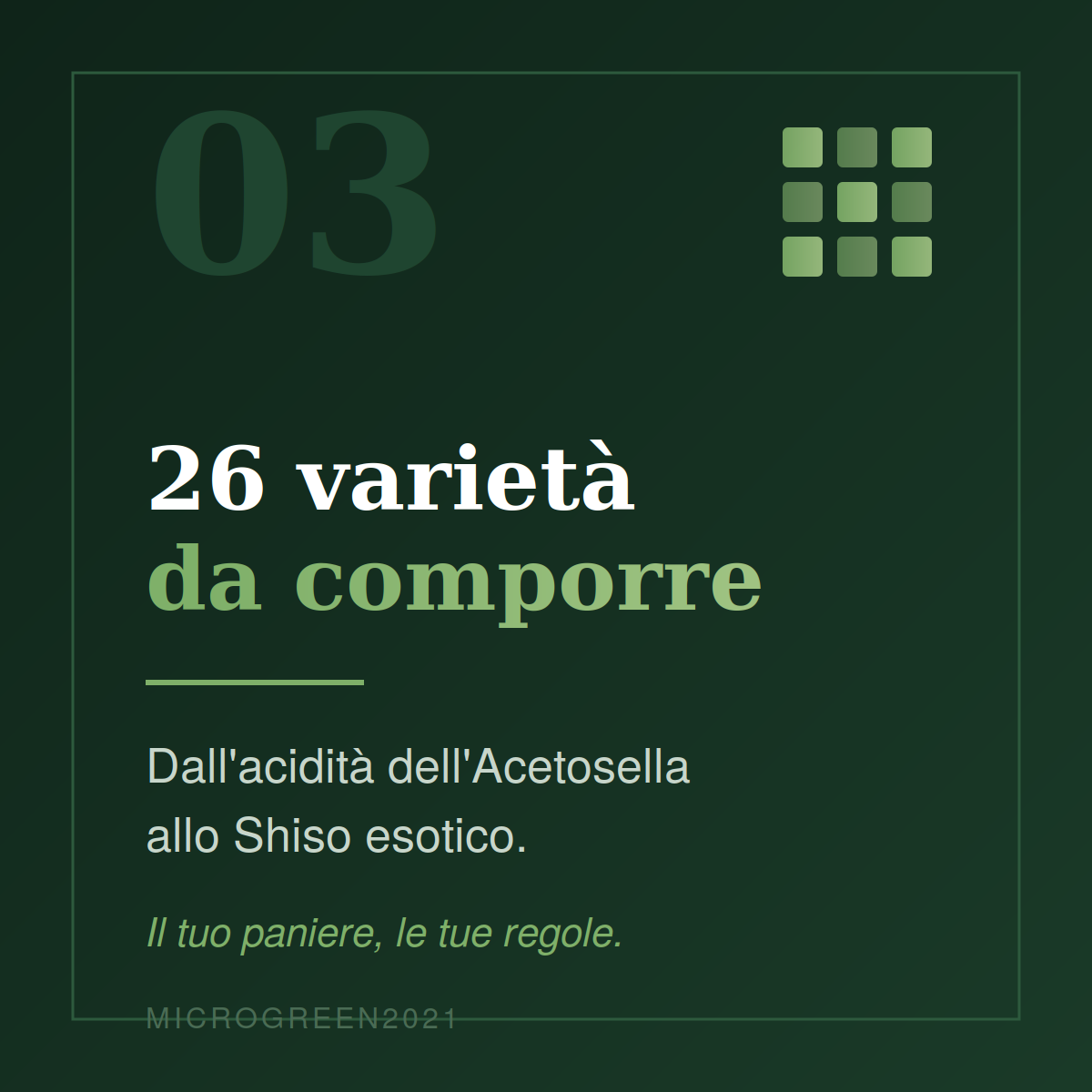 Componi il tuo Box da 8 Vaschette
