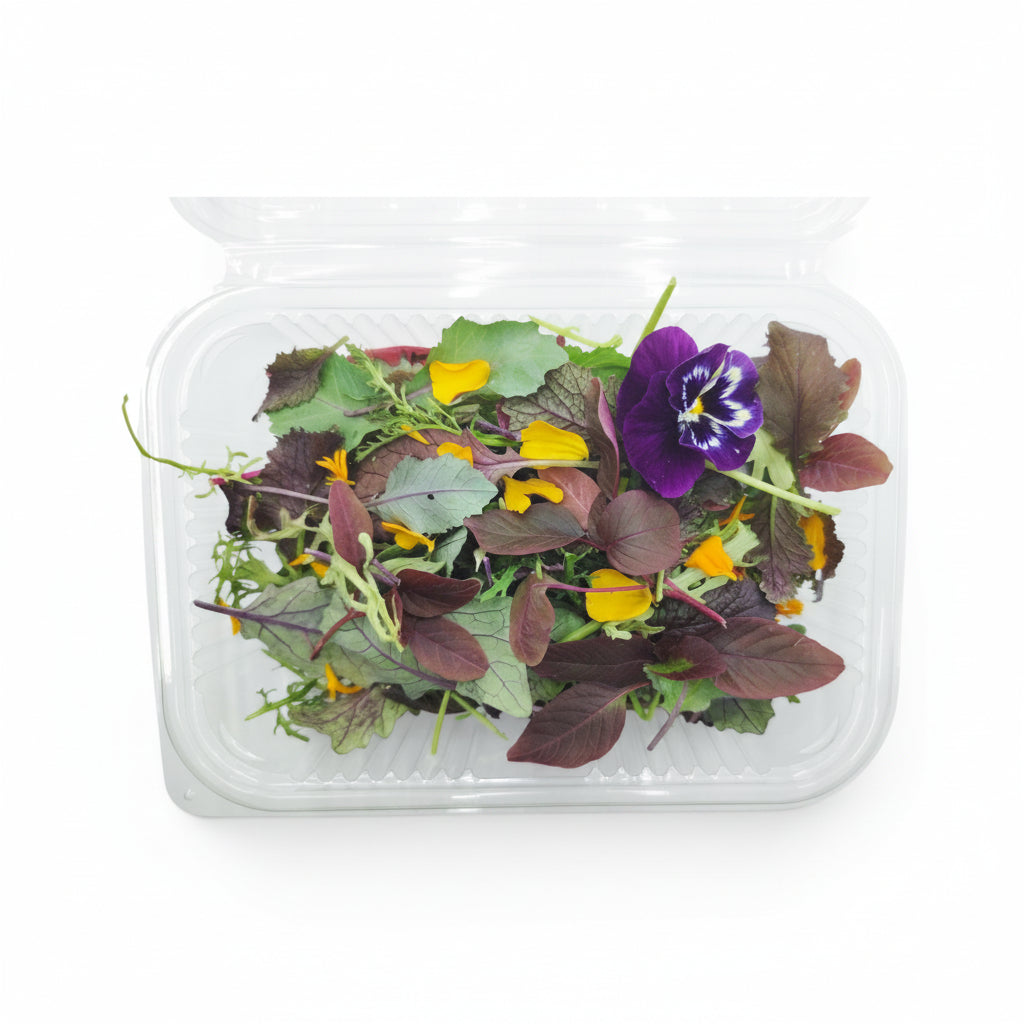 microgreen_misticanza_edibile_forniture_ristoranti_1