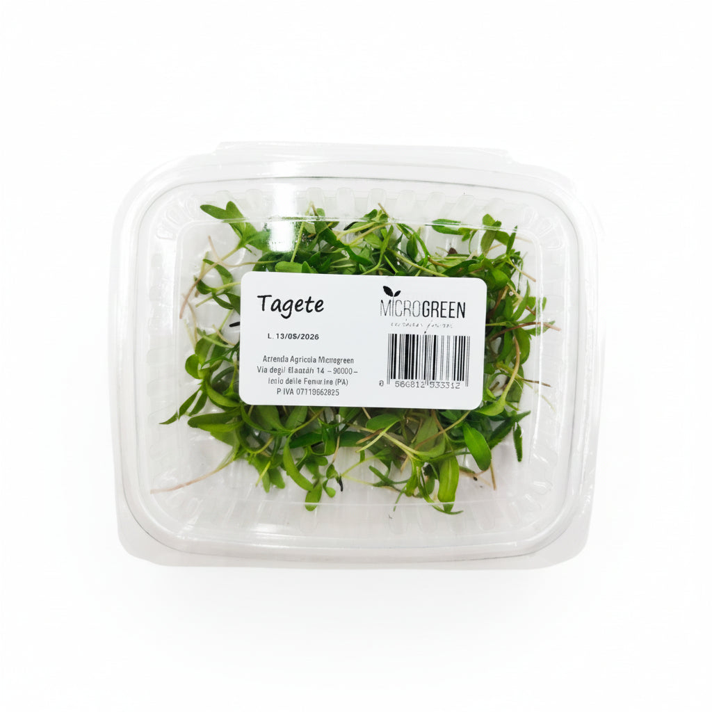 Tagete Germoglio Edibile Microgreen