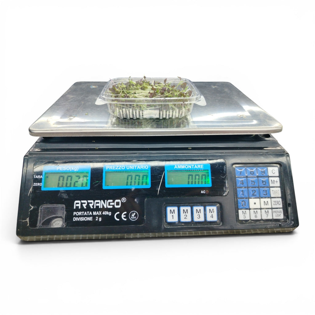 Mizuna Germoglio Edibile microgreen
