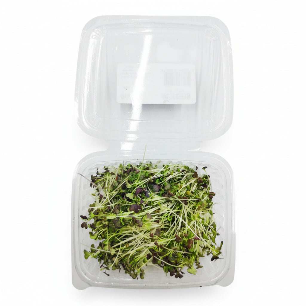 Mizuna Germoglio Edibile microgreen