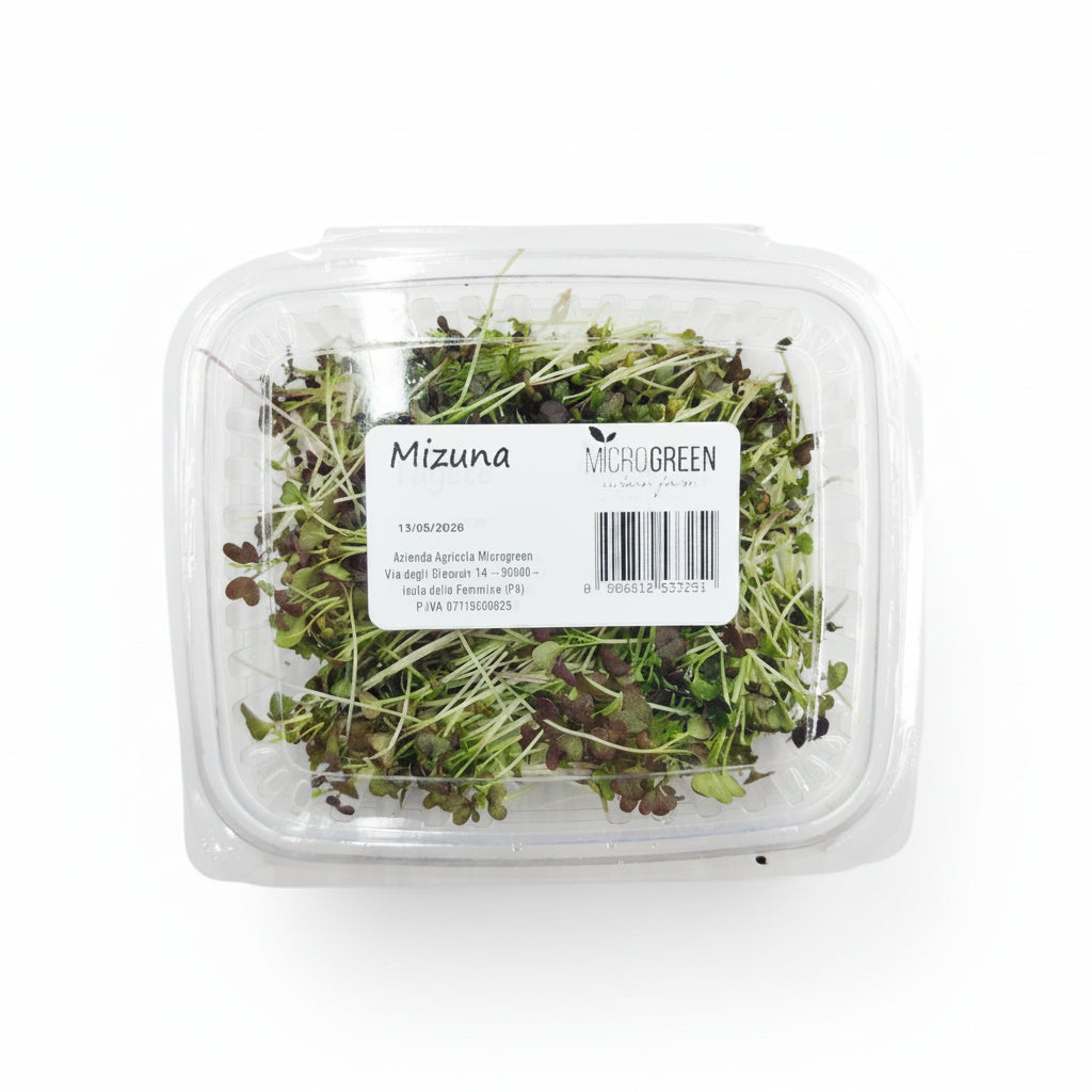 Mizuna Germoglio Edibile microgreen