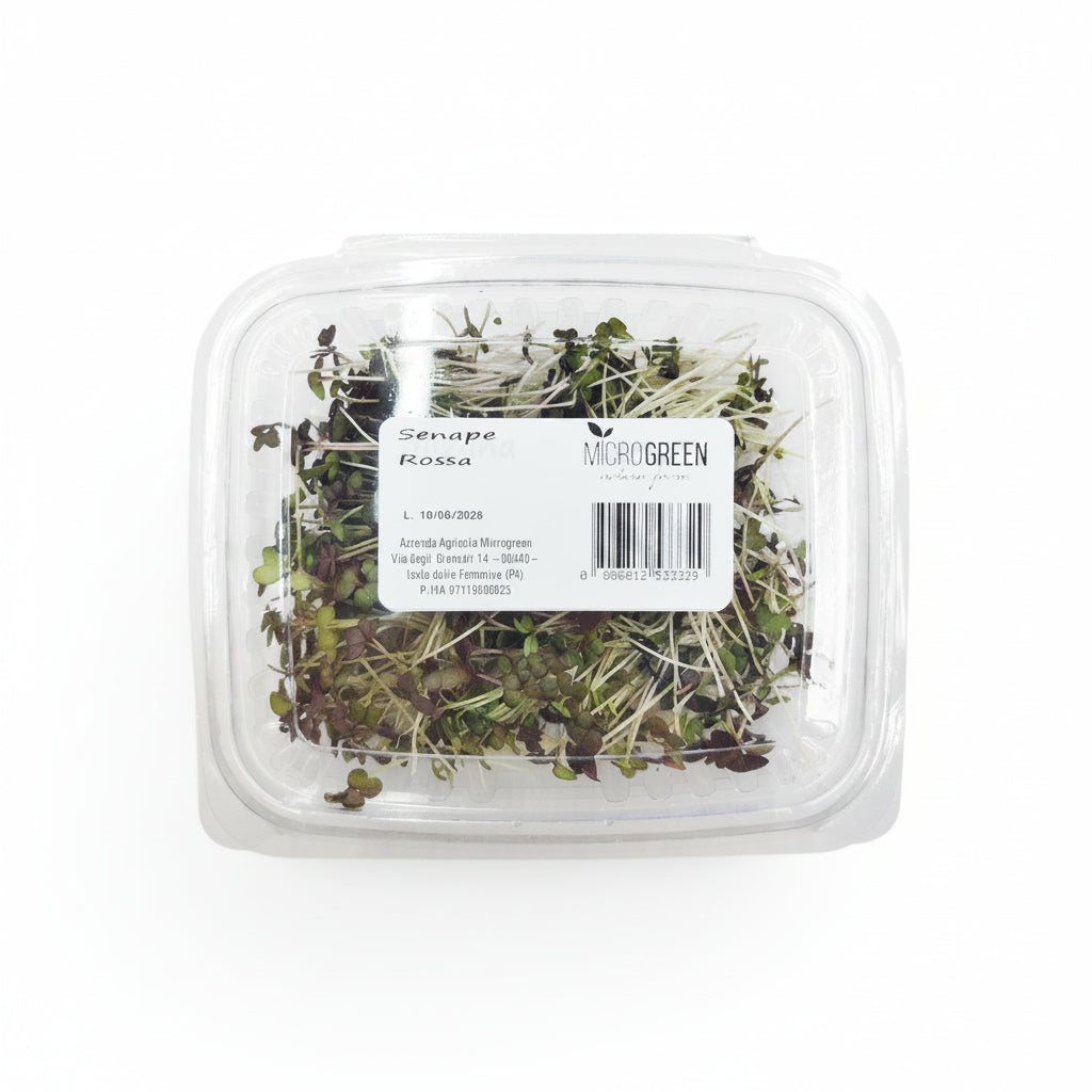 Senape Rossa Microgreen Edibile