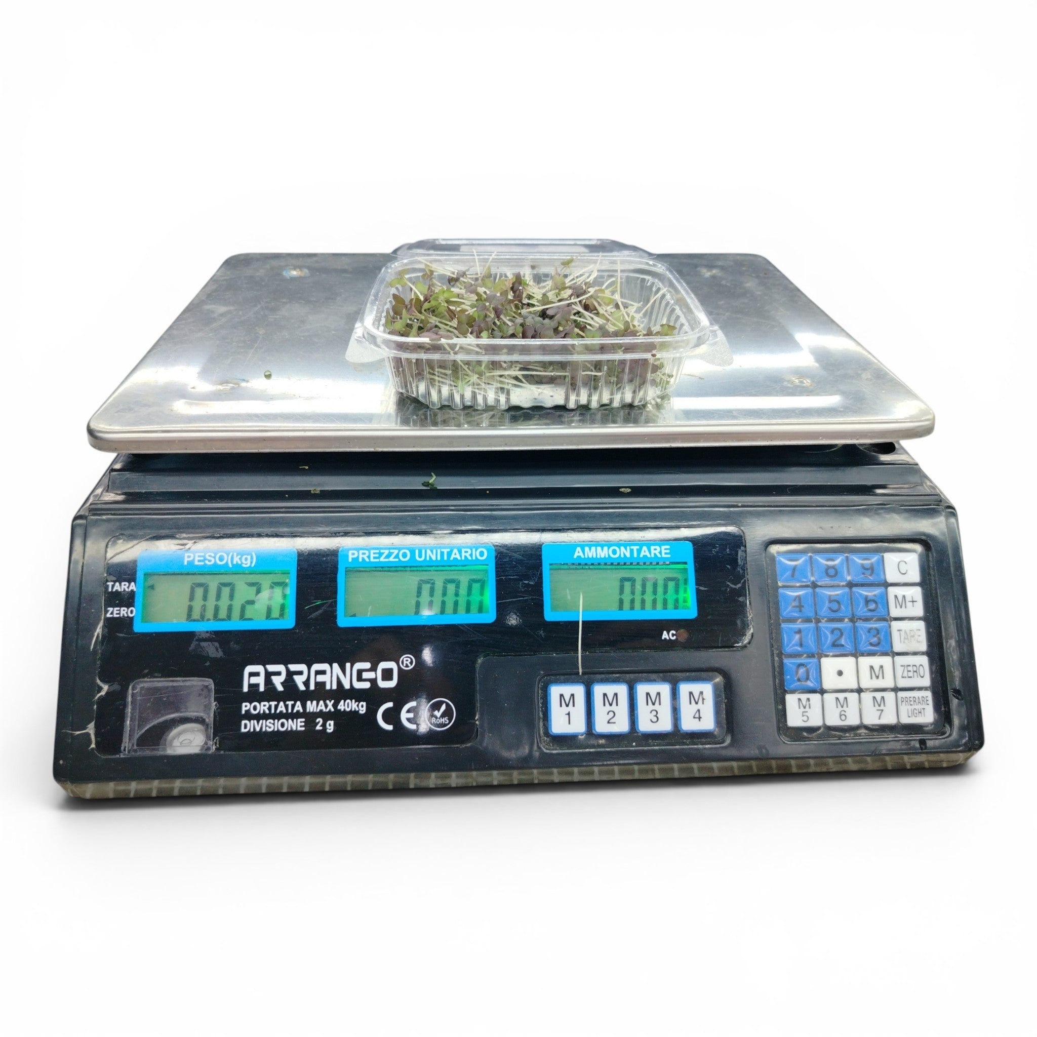 Microgreen Tagliato Senape Rossa - Germoglio Edibile