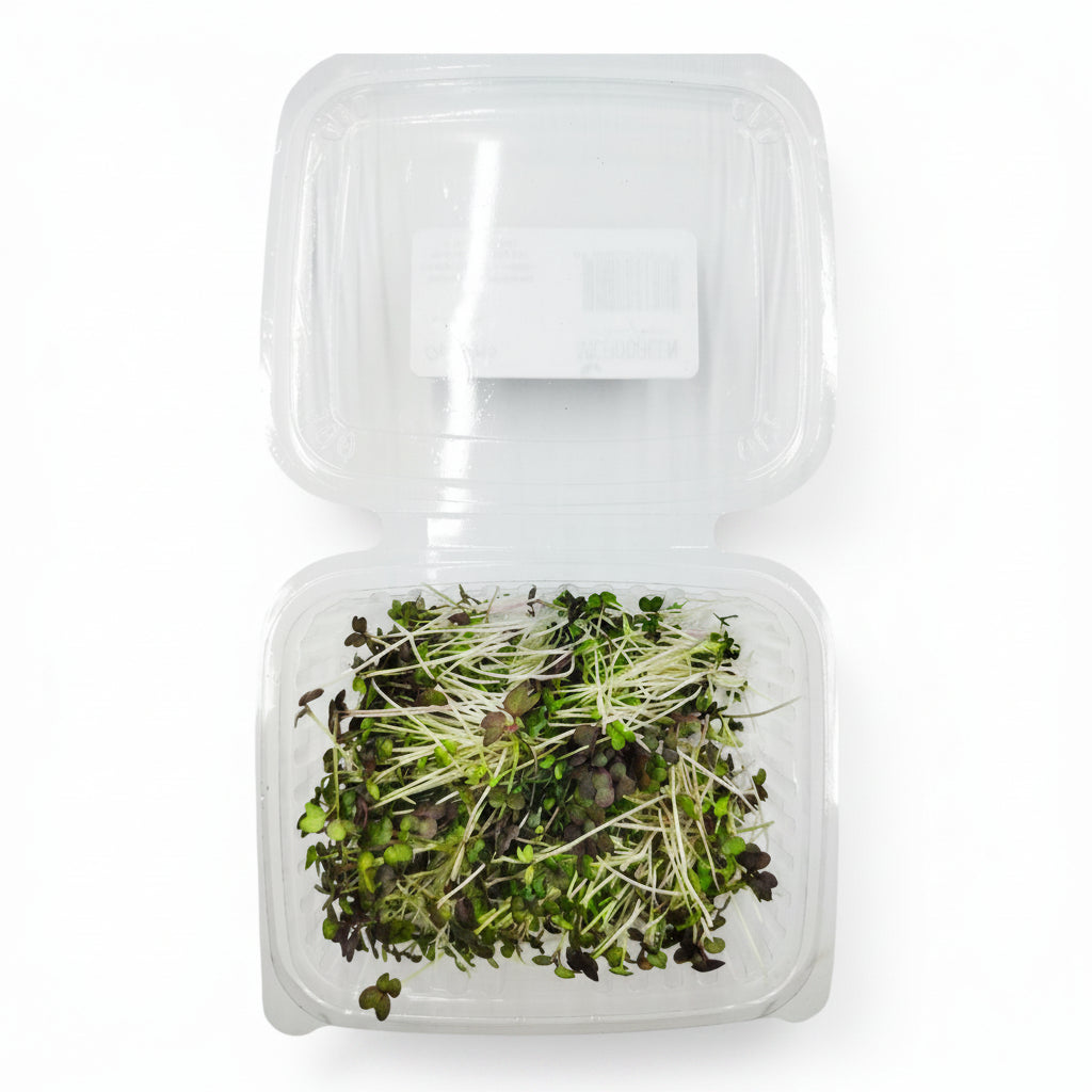 Microgreen Tagliato Senape Rossa - Germoglio Edibile