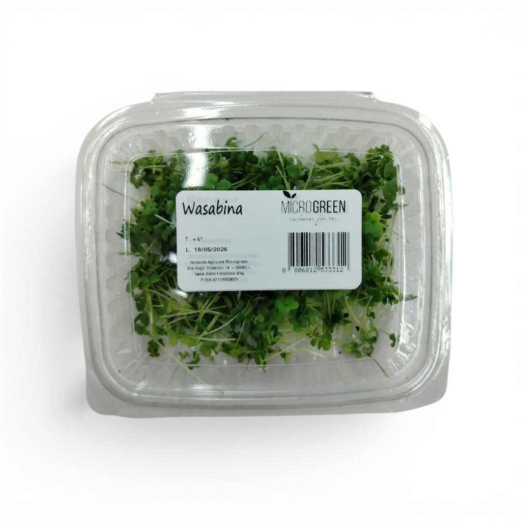 Senape Wasabina microgreen commestibili piante forniture ristoranti chef