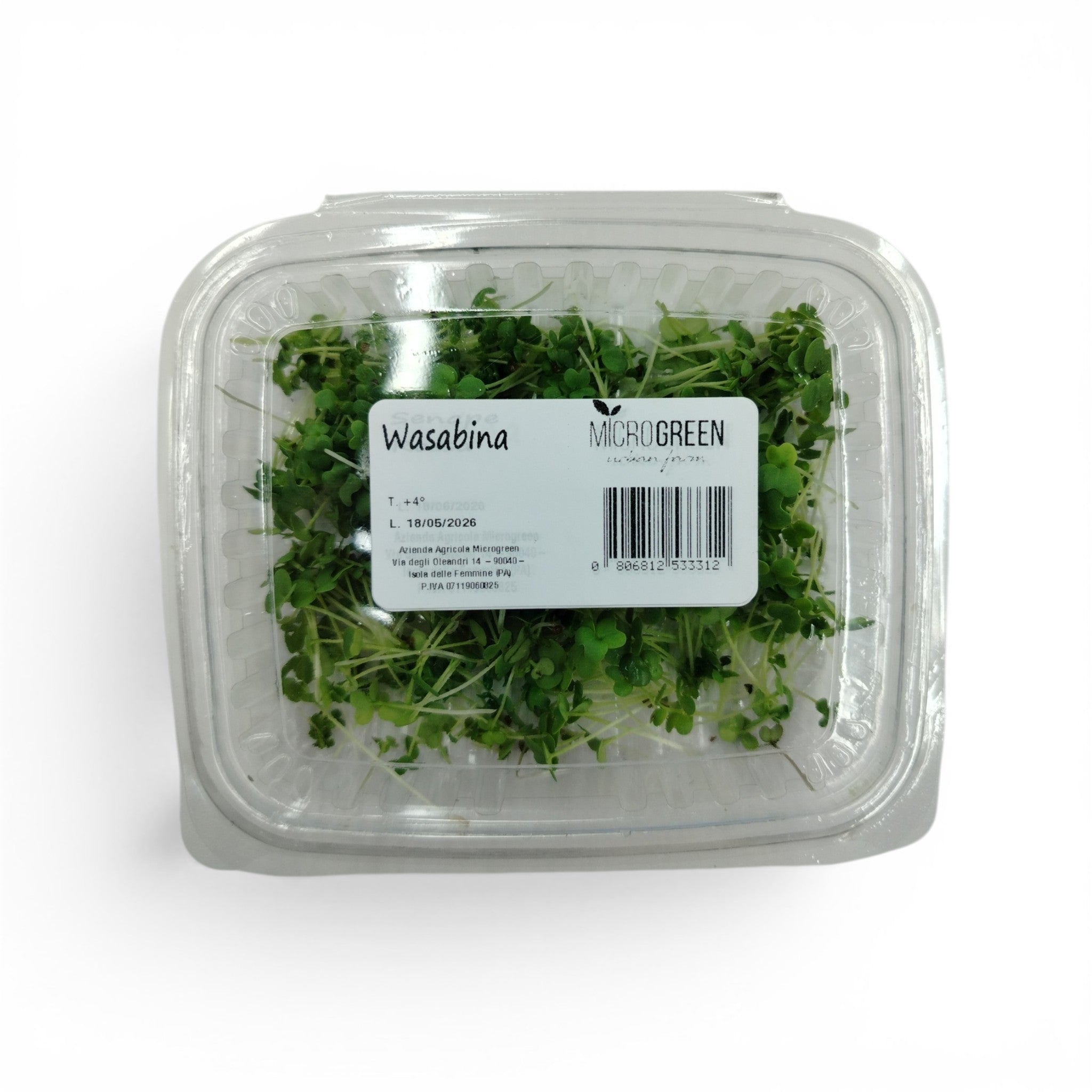 Senape Wasabina microgreen commestibili piante forniture ristoranti chef