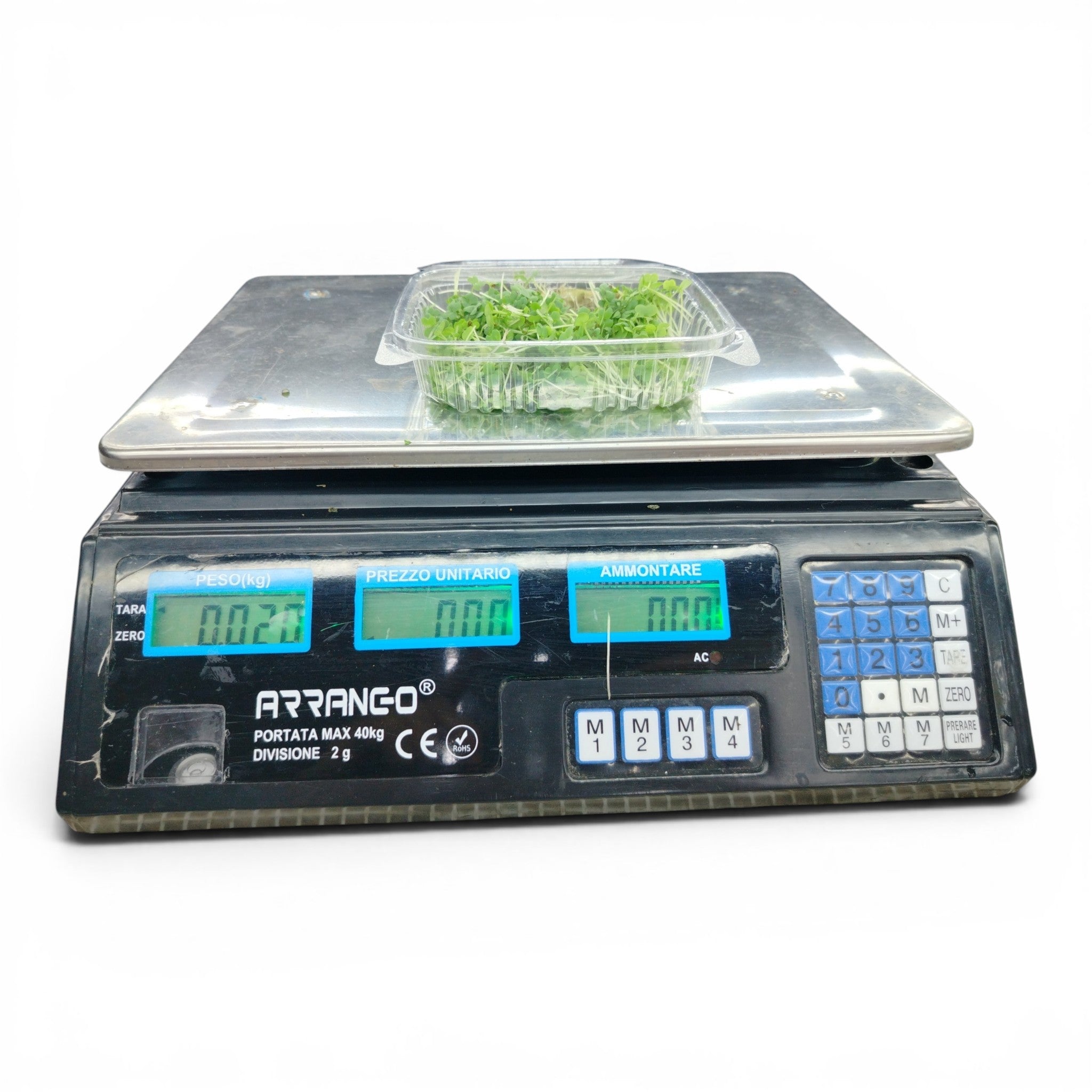 Senape Wasabina microgreen commestibili piante forniture ristoranti chef