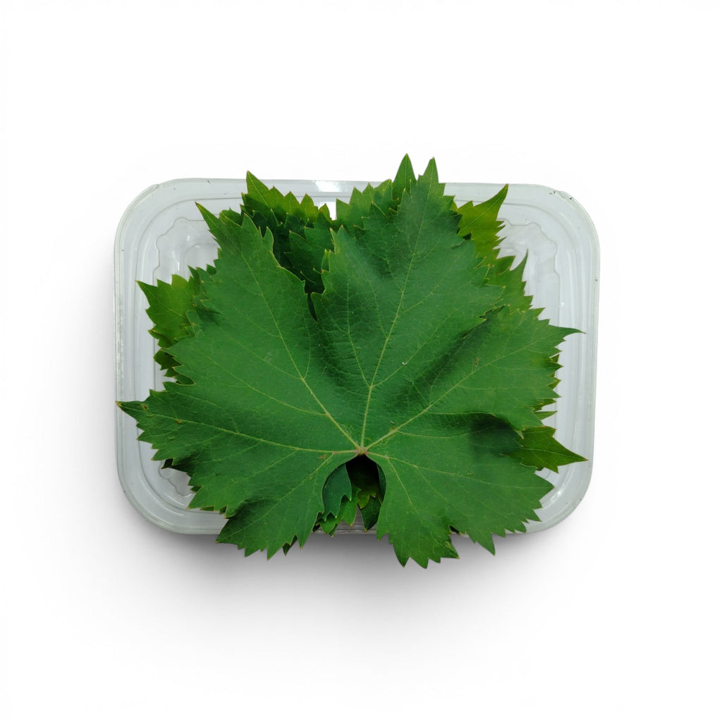 vite_microgreen_commestibili_forniture_ristoranti_eduli_edibili_3