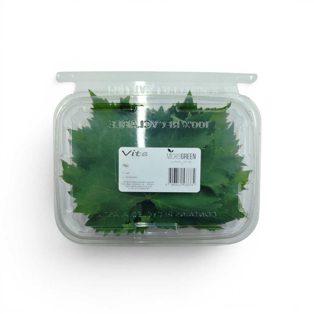 vite_microgreen_commestibili_forniture_ristoranti_eduli_edibili_3