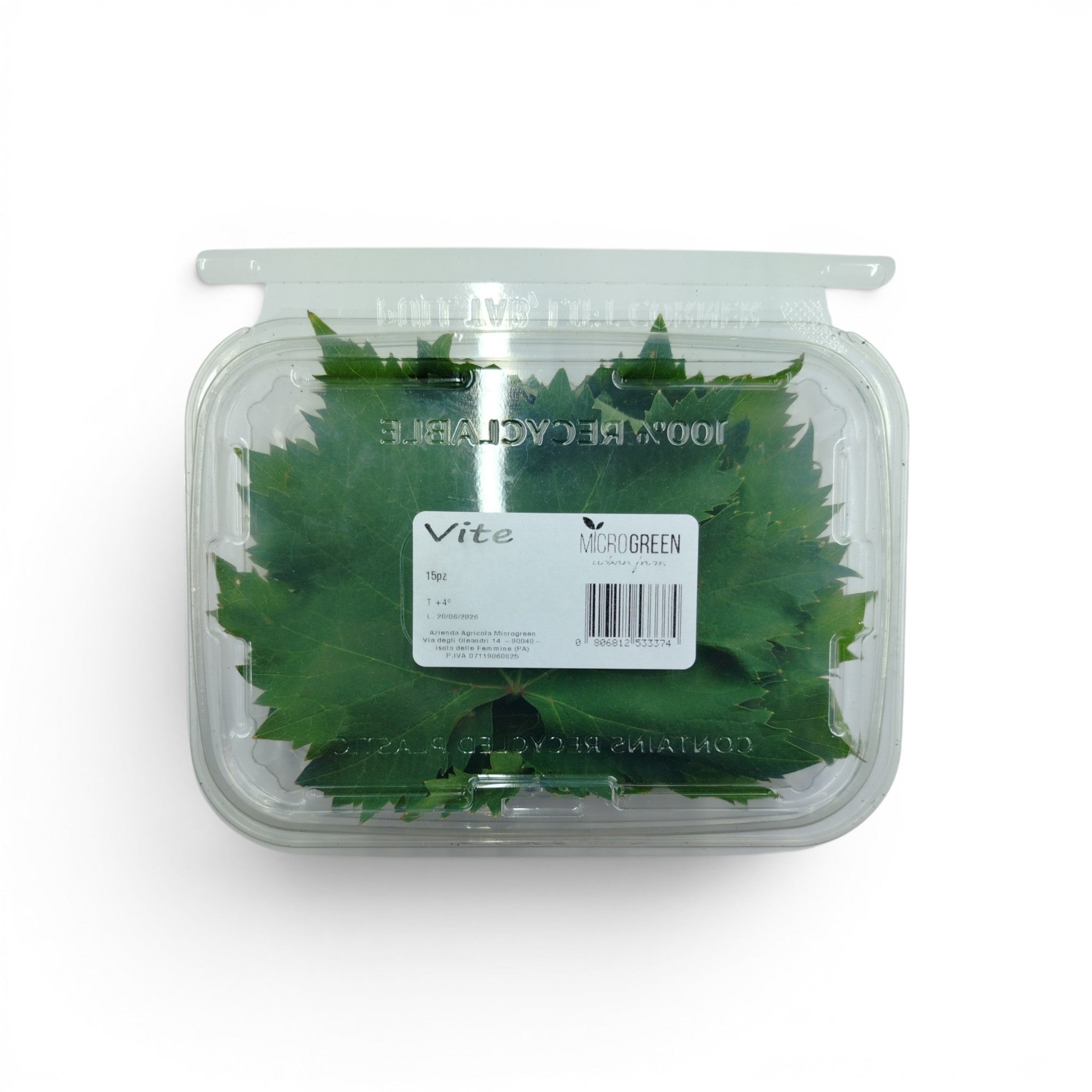 vite_microgreen_commestibili_forniture_ristoranti_eduli_edibili_3